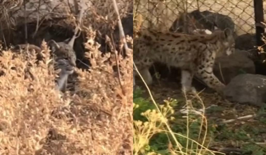 l-0x681wh-3264x1902z-0.2408