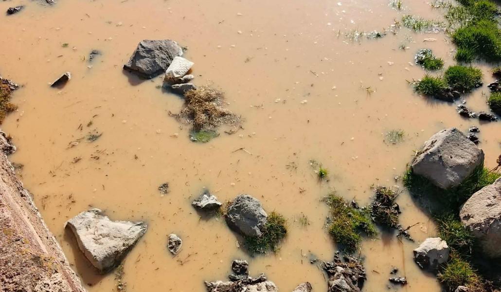 580887920_1307378204752531_6409981965804551438_n