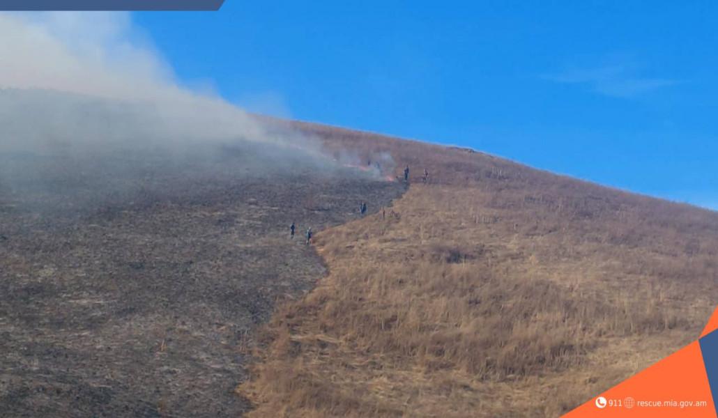 photo_2025-11-22_10-37-37