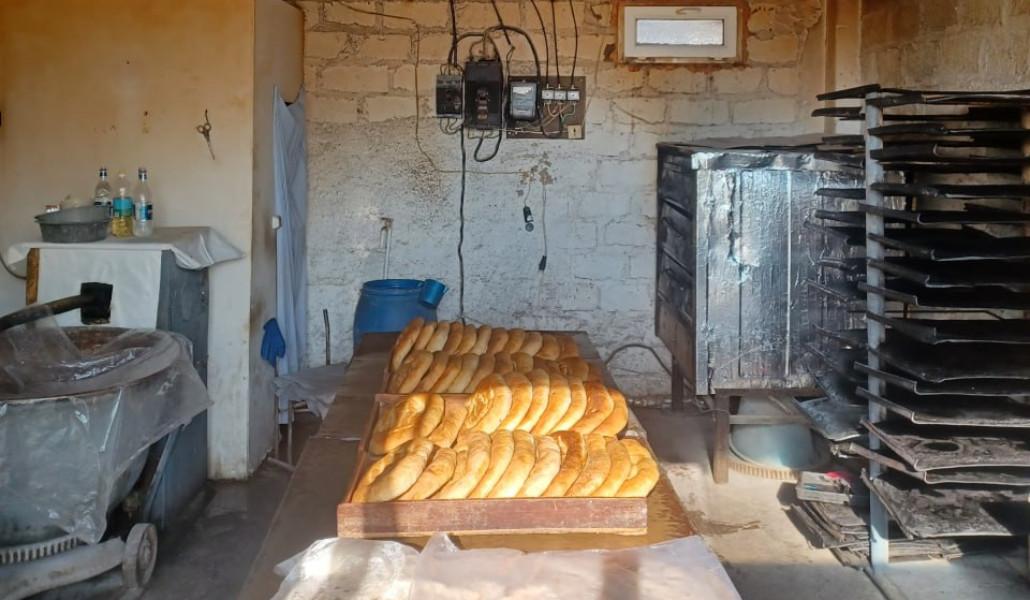 588483414_1264206042410445_7122233350835093577_n