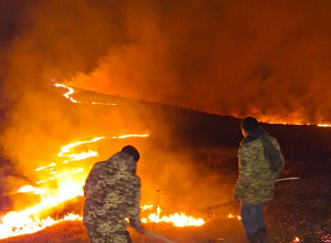 Այրվել է Գետիկի անտառպետության 1-ին, 2-րդ և 4-րդ պահաբաժինների մի մասը