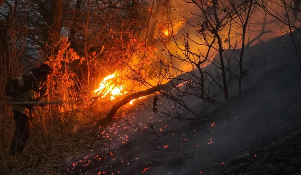 դիլիջան հրդեհ