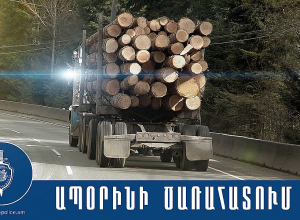 Առանց համապատասխան փաստաթղթերի փայտանյութի տեղափոխման դեպք է բացահայտվել