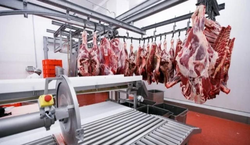 594075128_1272168351614214_4874701445848434287_n