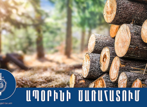 Մեքենայում հայտնաբերվել է 2,5 խորանարդ մետր փայտանյութ, որի համար վարորդը համապատասխան փաստաթղթեր չուներ