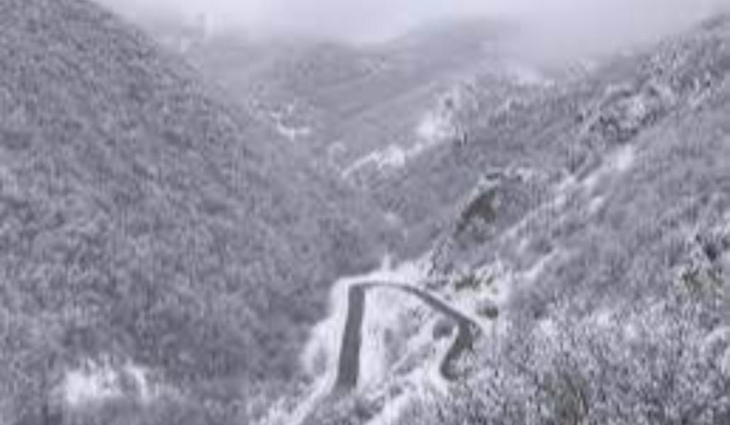 photo_2025-12-12_17-07-15