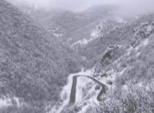 Մասիսի տարածաշրջանում մառախուղ է