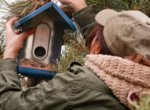 Ucom и SunChild реализуют программу «Умное наблюдение за птицами»