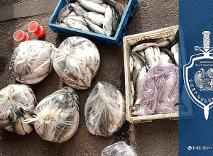 Ապօրինի ձկնագողության հերթական դեպքն է բացահայտվել