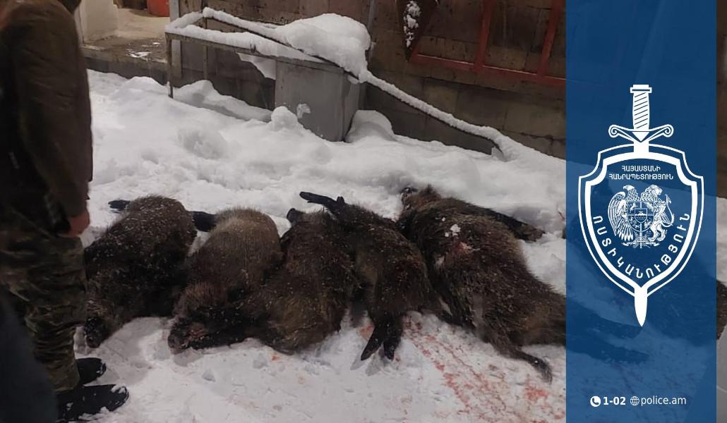 610816349_1260336212786395_7650712473802417997_n