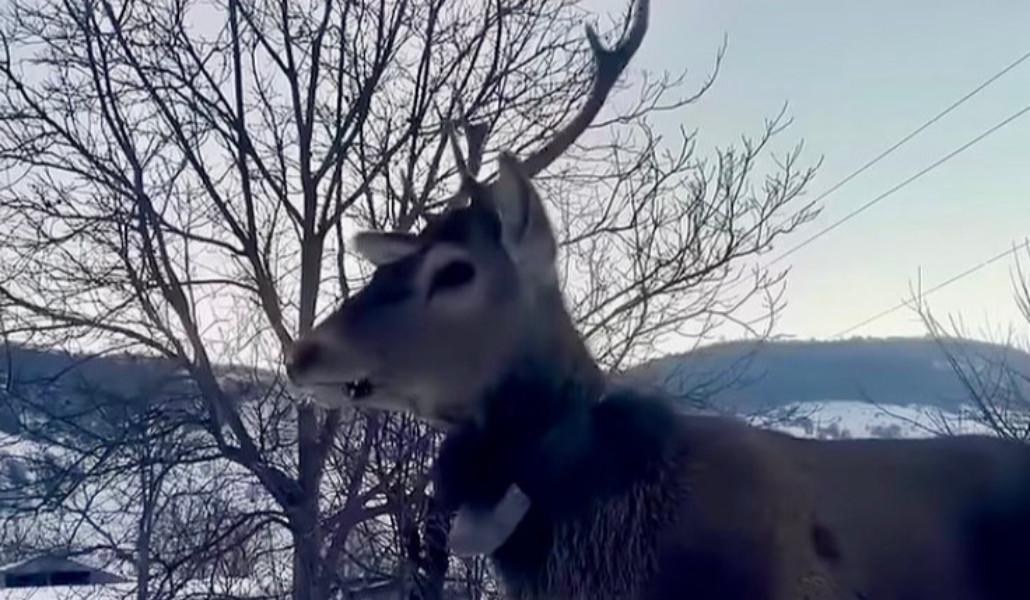 613175920_1217252690596098_4657854367782803853_n