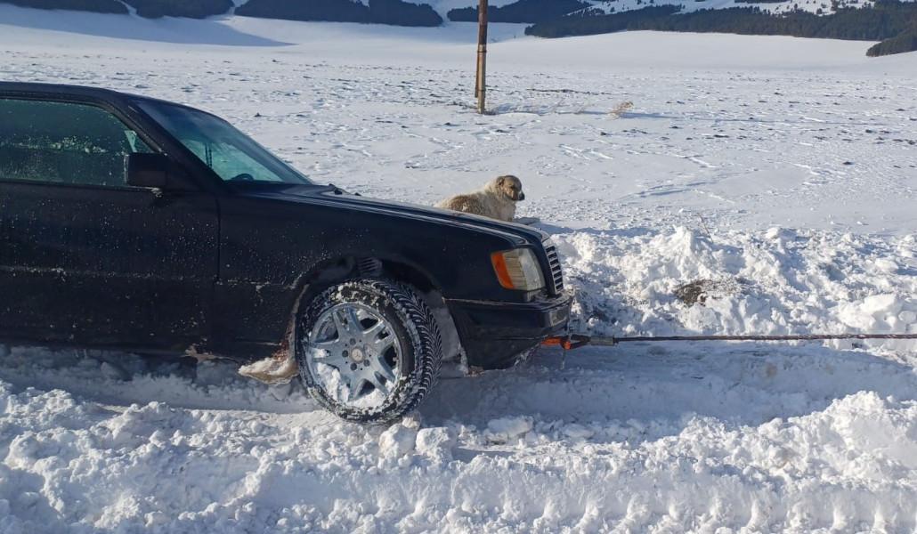 ebf213cc-4d22-4093-b2e1-e9c649f489a0