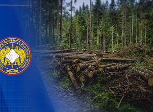 Ընկերության կողմից ոչնչացվել է 327 ծառ. ՔԿ