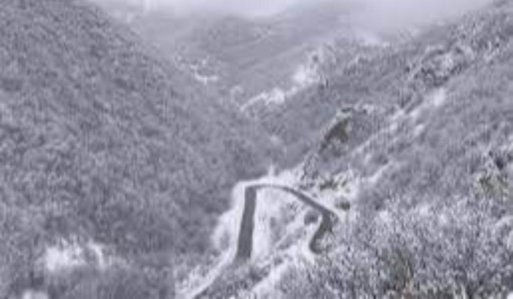 photo_2026-01-21_20-06-46