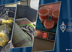 Ջրային պարեկները ապօրինի ձկնորսության դեպք են բացահայտել