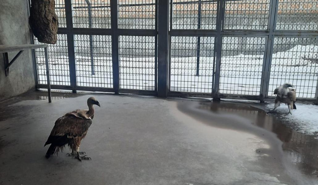 625583060_1378047251018959_8369740499906218379_n