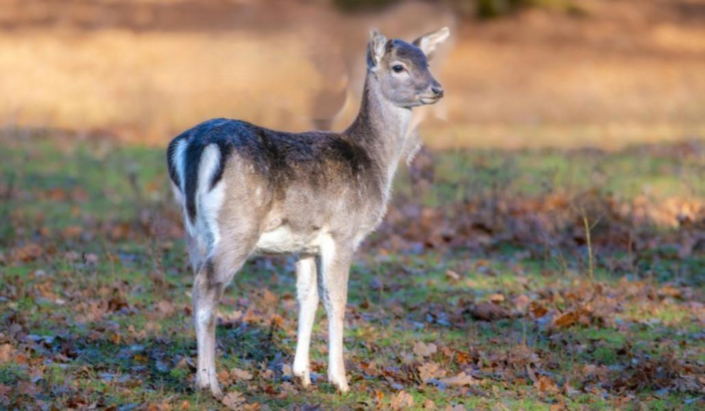 634419314_1391328959690788_3174841671011396465_n