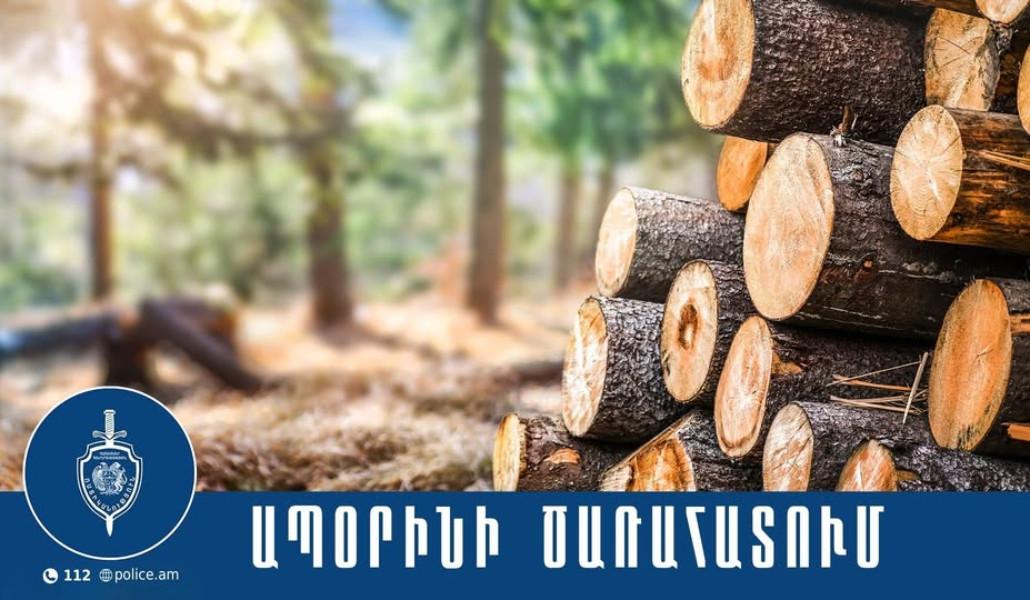 637138505_1297177722435577_8101989868971652947_n