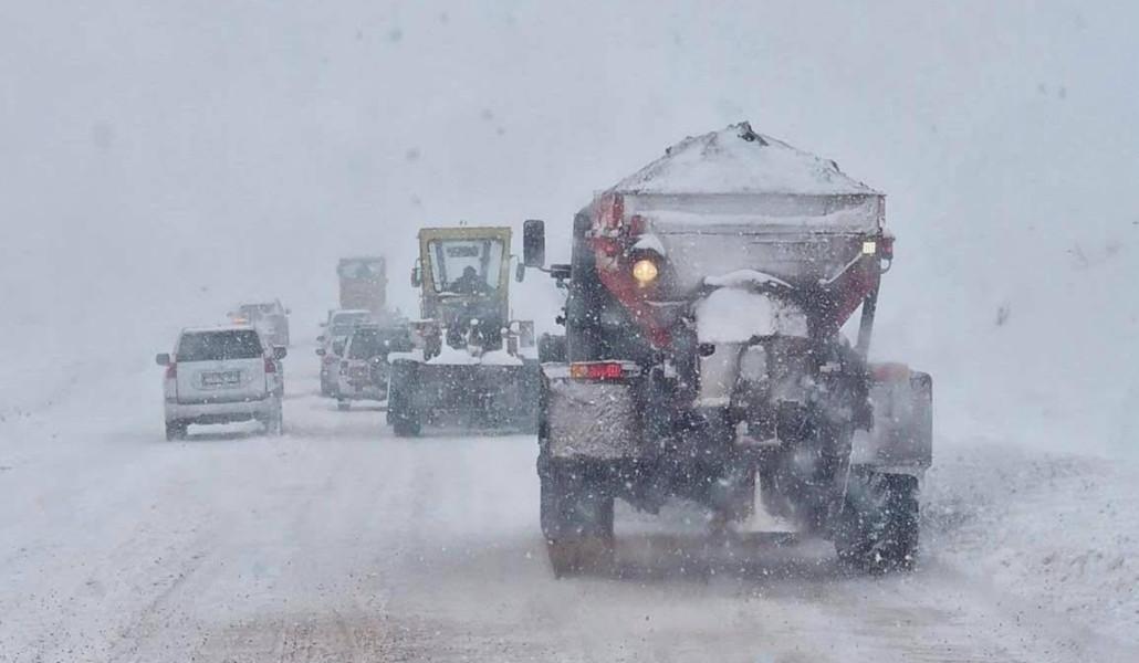 photo_2026-03-08_17-07-55