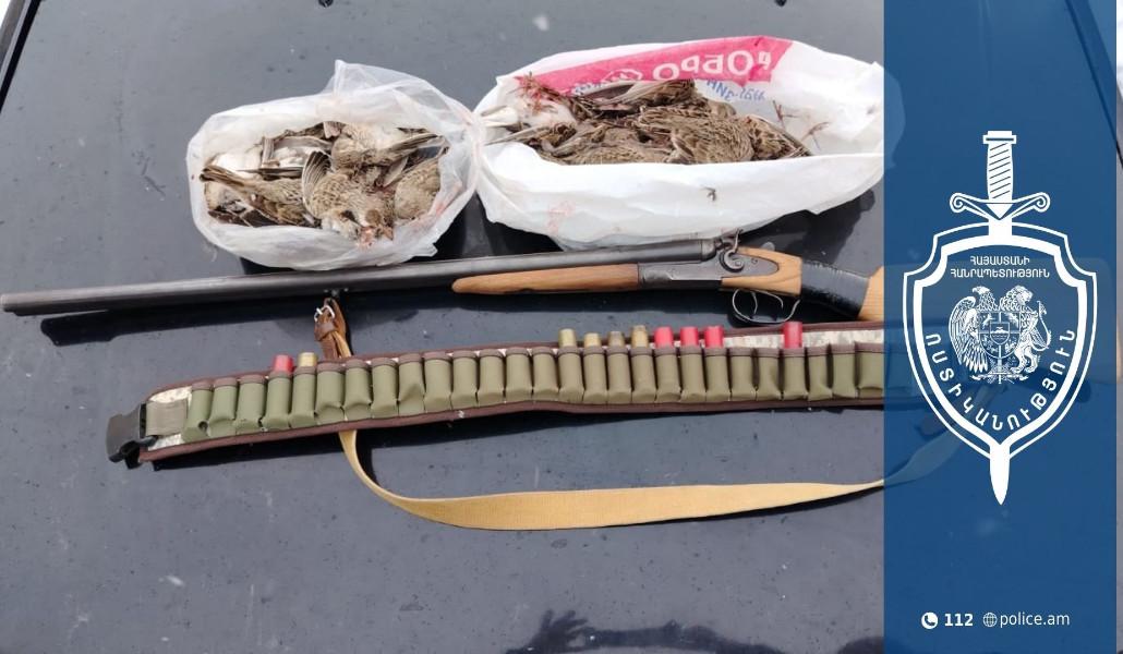 648920539_1311967304289952_118154661596189034_n