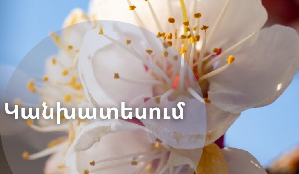 658919774_975483461498780_379669920163456093_n