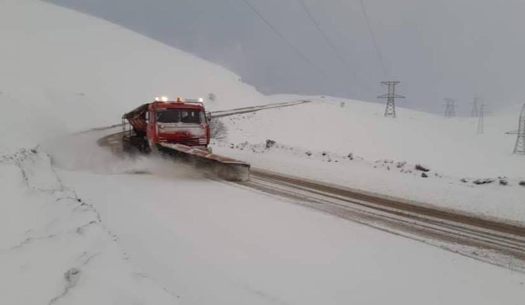photo_2026-03-27_16-31-59
