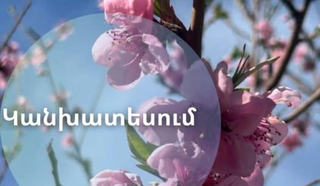 659225746_982852357428557_4650830323404673925_n