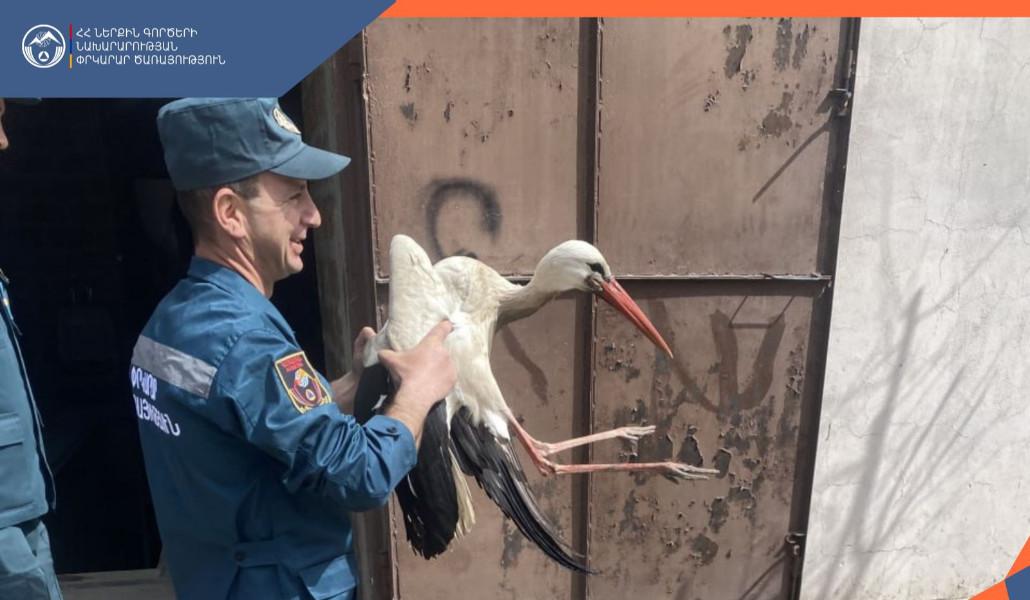 9012733a-d5c6-49db-bbf0-890644a5b03c