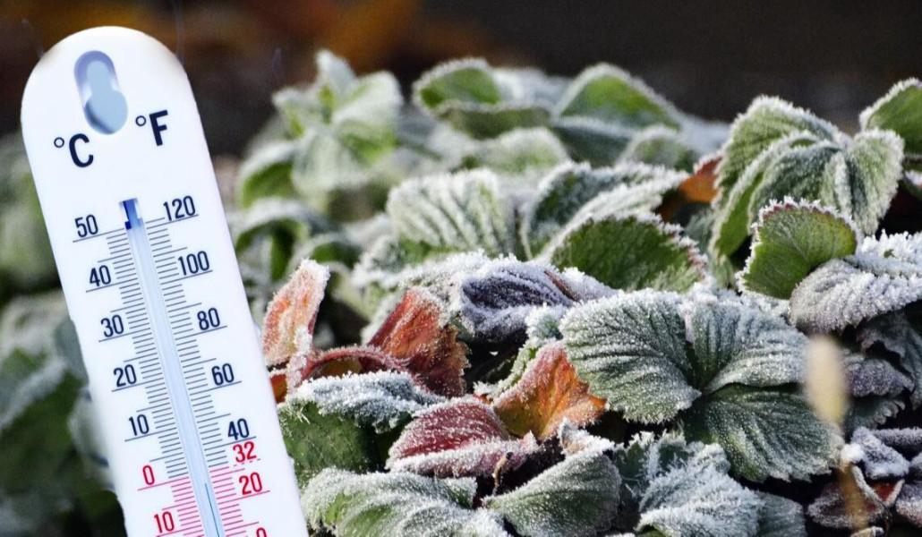 672687547_122174746040938431_954278624422980706_n