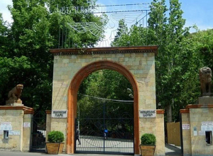Քաղաքացին իրեն պատկանող ավանակին ներկել էր զոլերով․ քաղաքապետարանի պարզաբանումը