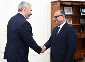 Տիգրան Խաչատրյանը ԵՆԲ փոխնախագահի հետ քննարկել է ներդրումային ծրագրերը