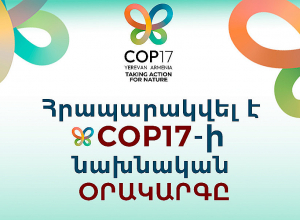 Հրապարակվել է COP17-ի նախնական օրակարգը