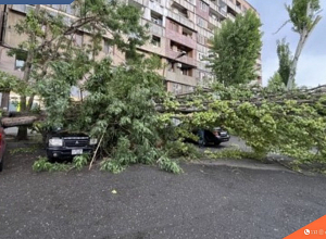 Ծառն ընկել է չորս տրանսպորտային միջոցի վրա