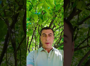Սպասվող եղանակի մասին․ Սուրենյան