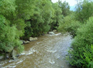 Ահազանգ է ստացվել, որ Վանաձոր քաղաքի Առափնյա փողոցում երեխան ընկել է գետը