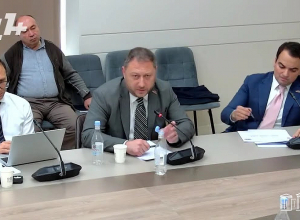 Հայաստանում վերամշակող արդյունբերություն գոյություն չունի․ Ֆարմանյան