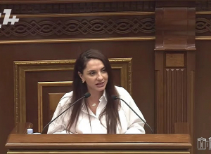 Տիկին նախարար, Դուք ի՞նչ խնդիր ունեք Հայոց ցեղասպանության ճանաչման հետ․ Արեգա Հովսեփյան