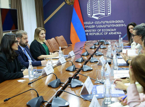 Պապոյանն ընդունել է ՎԶԵԲ-ի Թուրքիայի և Կովկասի հարցերով գործադիր տնօրենին