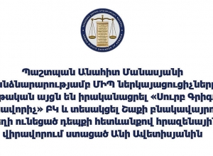 ՄԻՊ ներկայացուցիչները տեսակցել են Շաքիում տեղի ունեցած դեպքի հետևանքով հրազենային վիրավորում ստացած Անի Ավետիսյանին