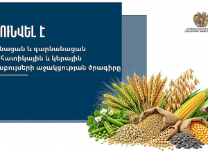 Կառավարությունն ընդունել է հացահատիկային և կերային մշակաբույսերի մշակության աջակցության ծրագիրը