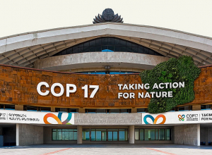 Հավաք՝ COP 17-ի մասնակիցներին ողջունելու համար