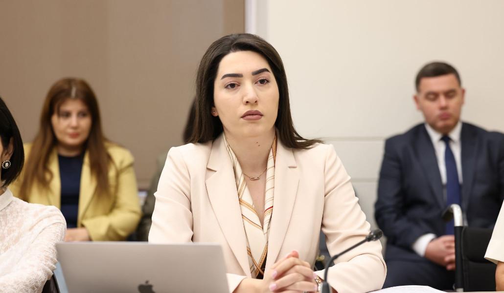ՆԳ նախարարը ներկայացրել է Կառավարության դիրքորոշումը